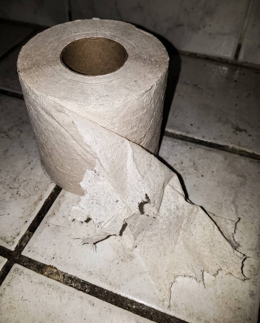 Rough one-ply toilet paper roll on tile, harsh flash photo